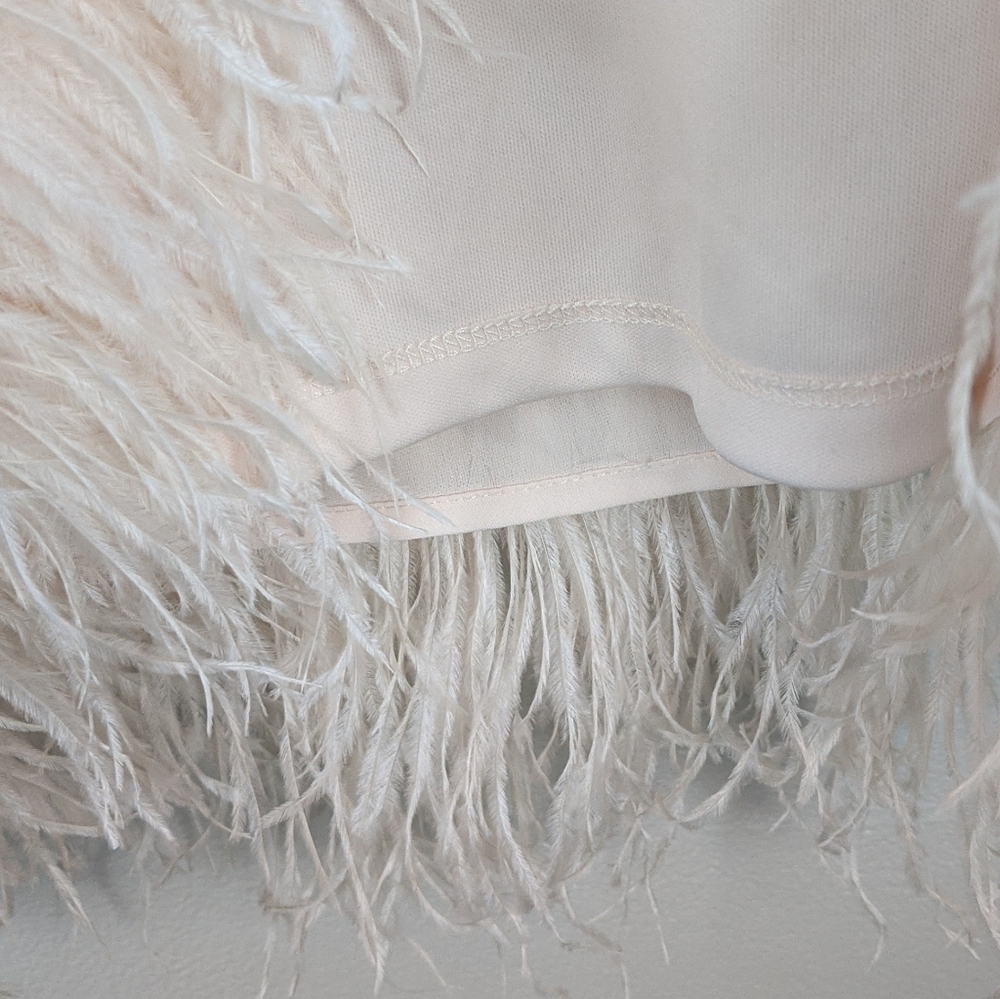 Jessica Simpson Crepe Dress Feather Hem 10 - Picture 11 of 11